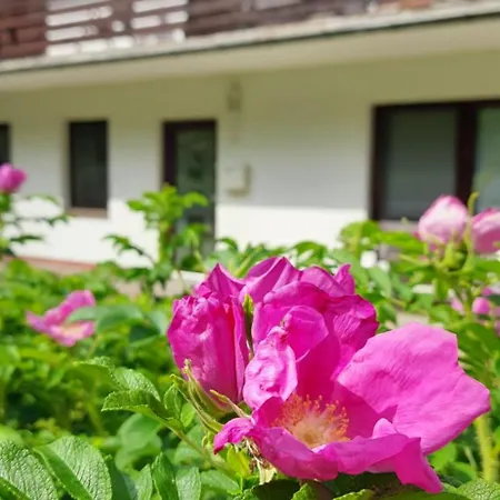 Gluecksiel Sankt Peter-Ording