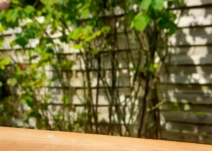 Gluecksiel Appartement