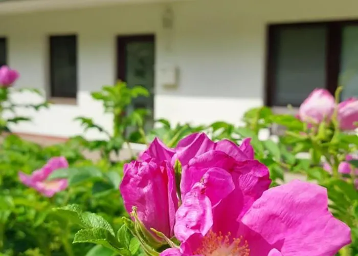 Gluecksiel Sankt Peter-Ording